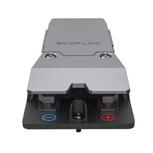 EcoFlow LFP Battery Polarity Adapter Action