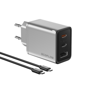 EcoFlow Rapid charger 65w