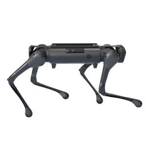 Unitree Aliengo Action