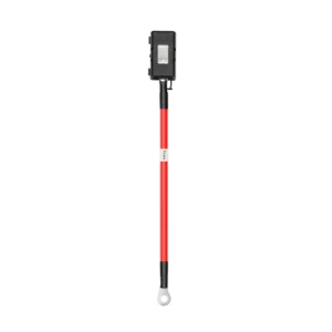 EcoFlow Altern Charg fuse cable