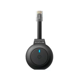 EcoFlow P1 Meter
